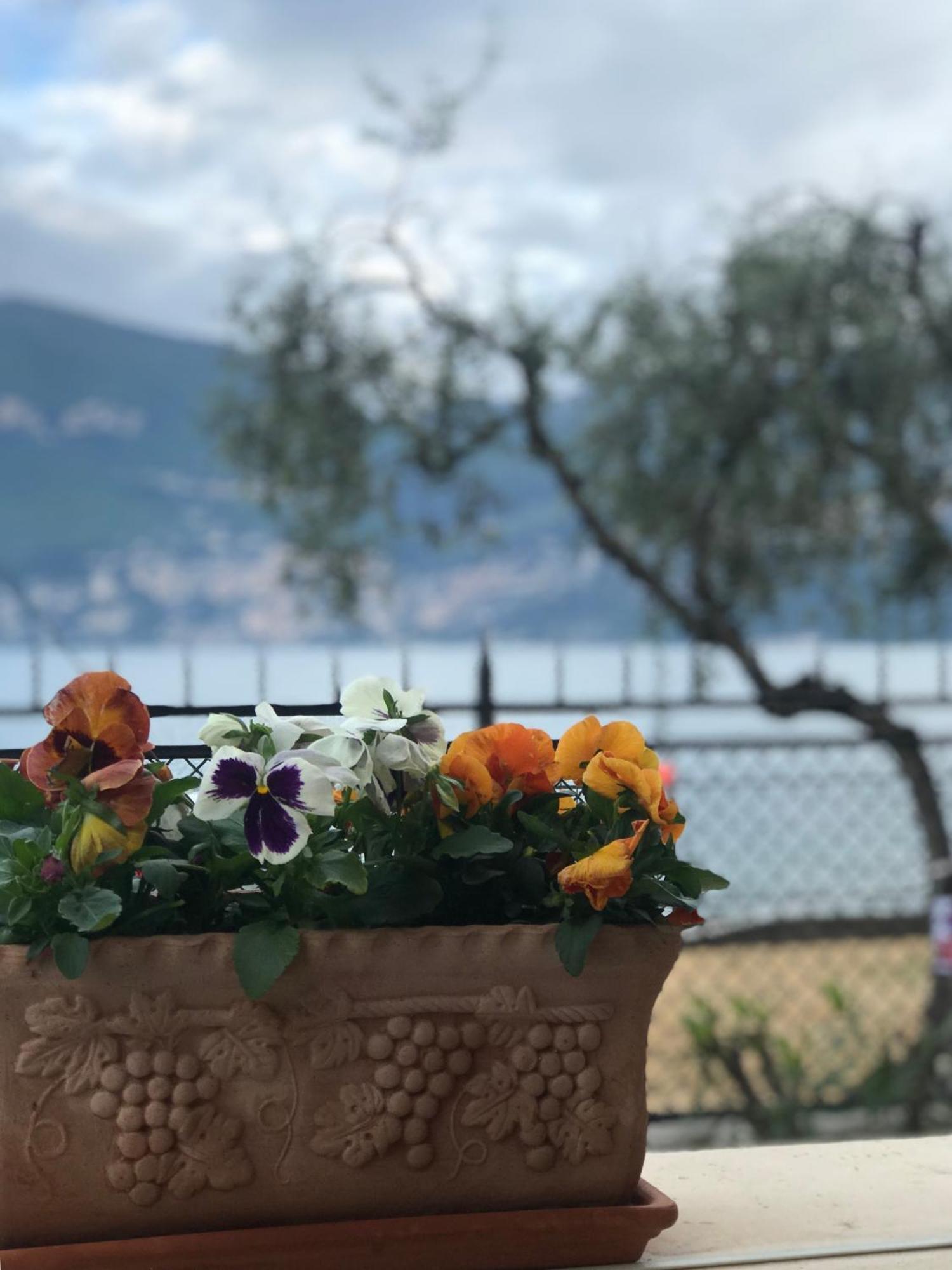 Villa Torre - Atmosfera Romantica Brenzone sul Garda Exterior foto